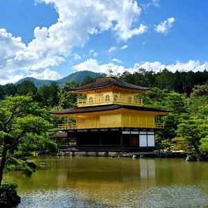 Meet your Posher, Jodi